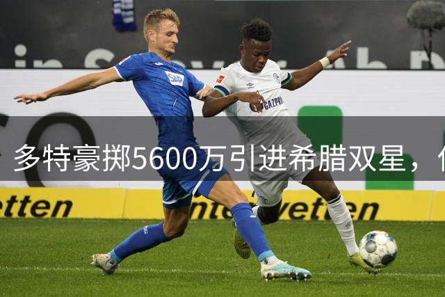 多特豪掷5600万引进希腊双星，伤病阴影笼罩新赛季